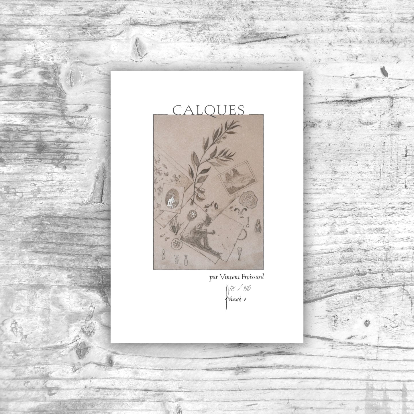Portefolio Calques - Vincent Froissard