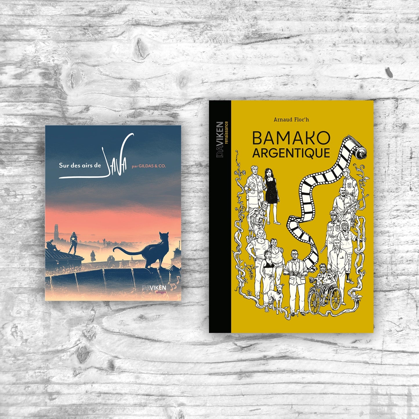 Pack 2 livres : Voyages