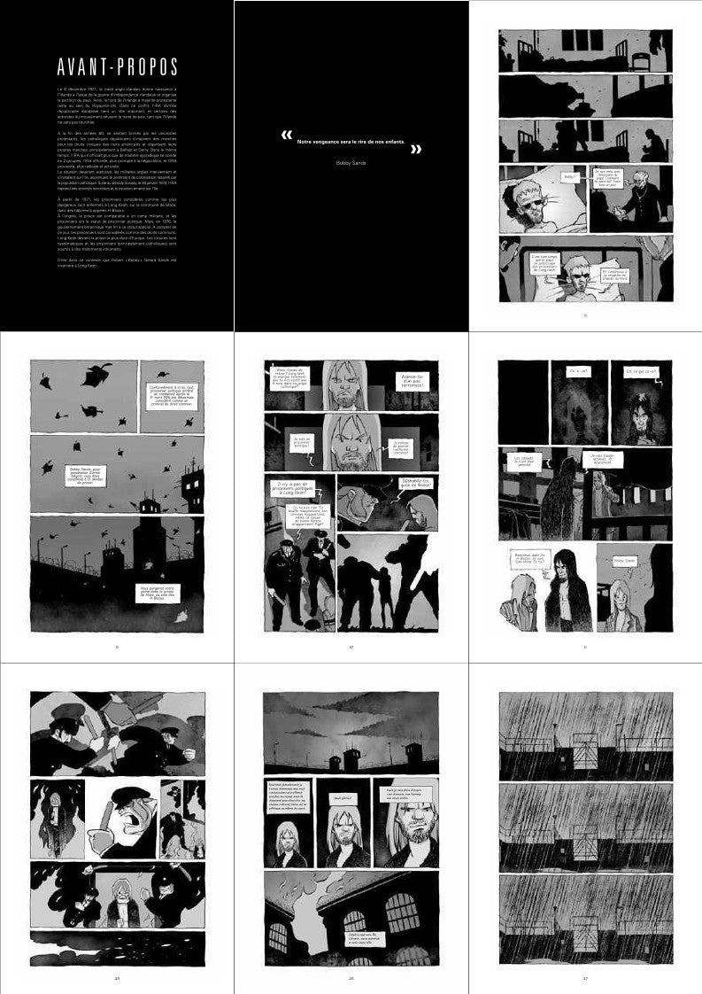 Long Kesh, la ballade de Bobby Sands (Stéphane Heurteau)